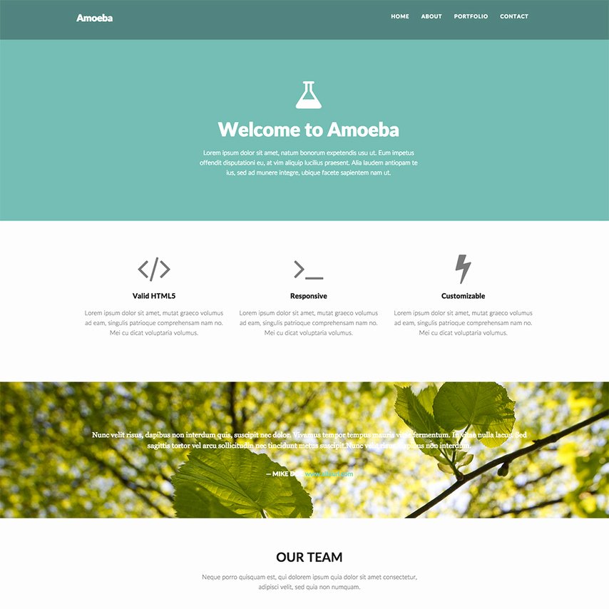 Amoeba Free Bootstrap Responsive Website Template