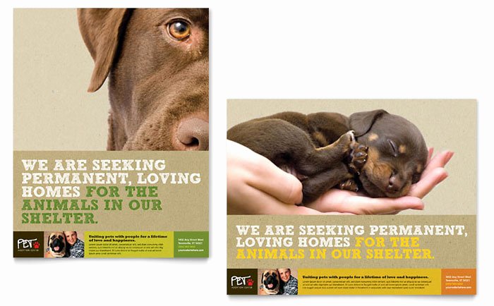 Animal Shelter &amp; Pet Adoption Poster Template Design