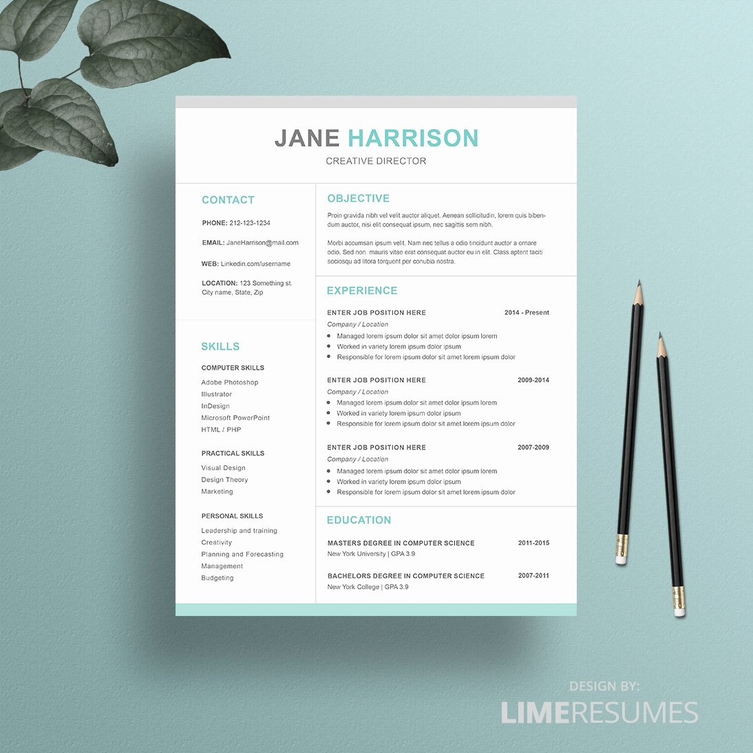 Apple Pages Resume Templates