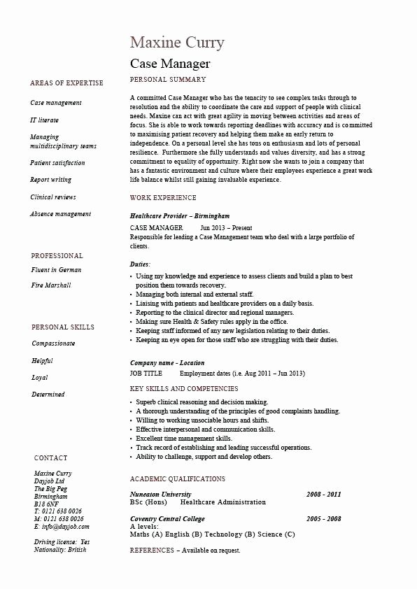 Resume areas Of Expertise Letter Example Template