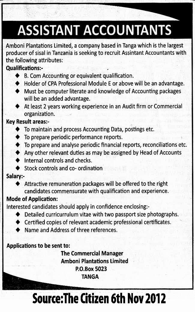 Assistant Accountant