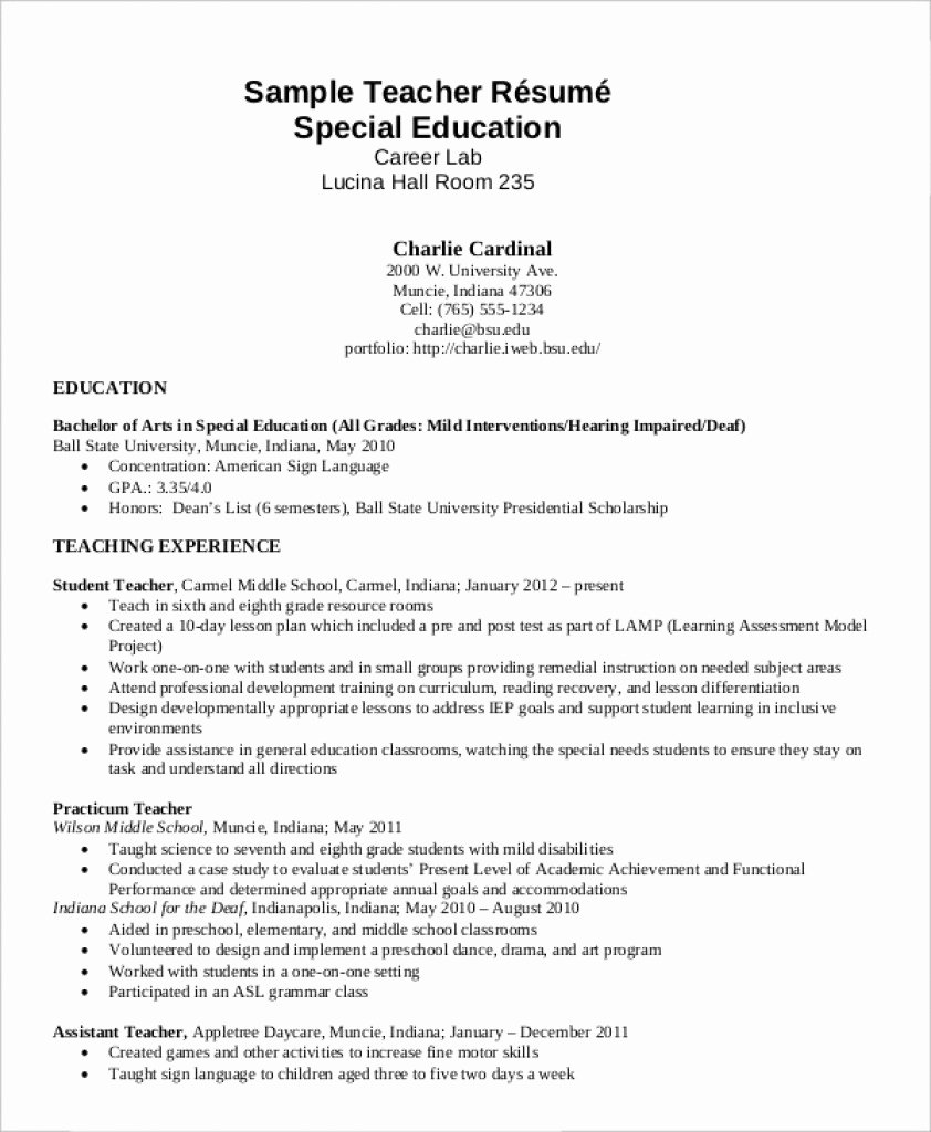 Assistant Director Education Modern 5 Resume Template 10