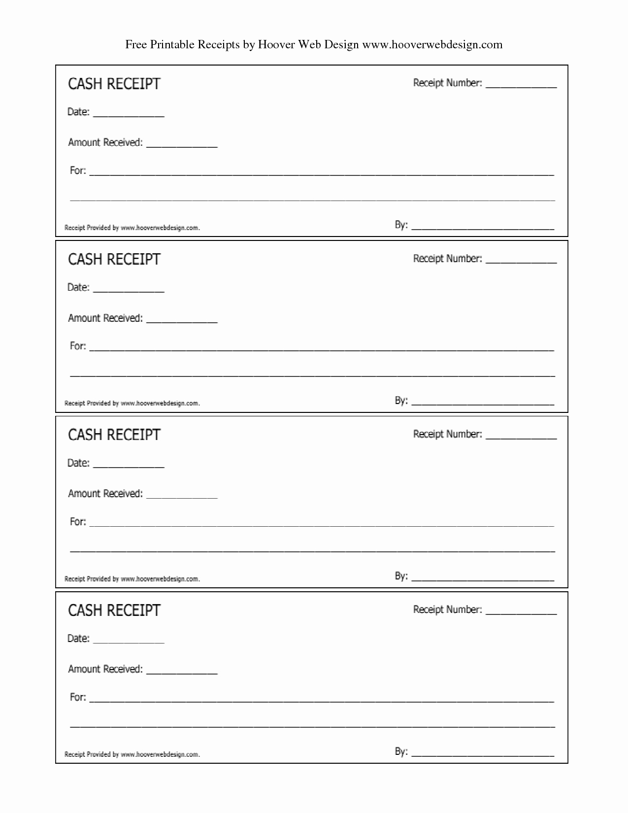 Attractive Cash Receipt Template and form for Microsoft