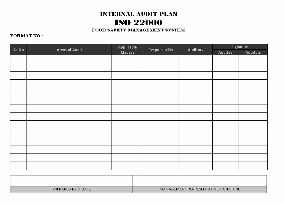 Audit Plan Template Excel