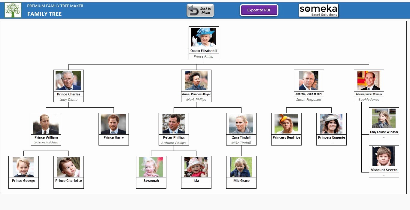 Automatic Family Tree Maker In Excel Alternatives and