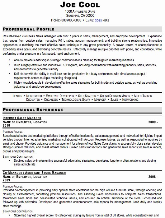 Automotive Sales Manager Resume Template Templates