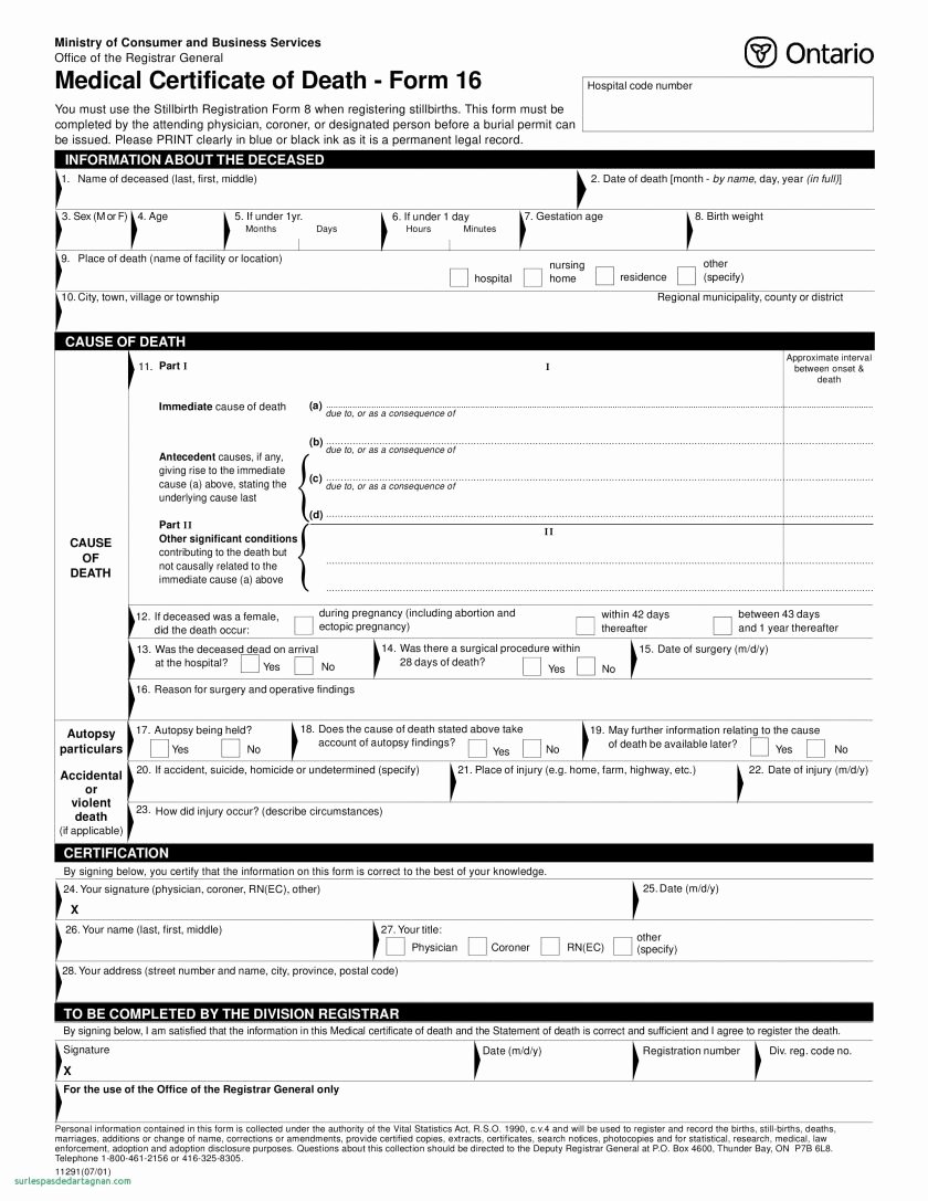 Autopsy Report Template Blank Awesome Sample Police School
