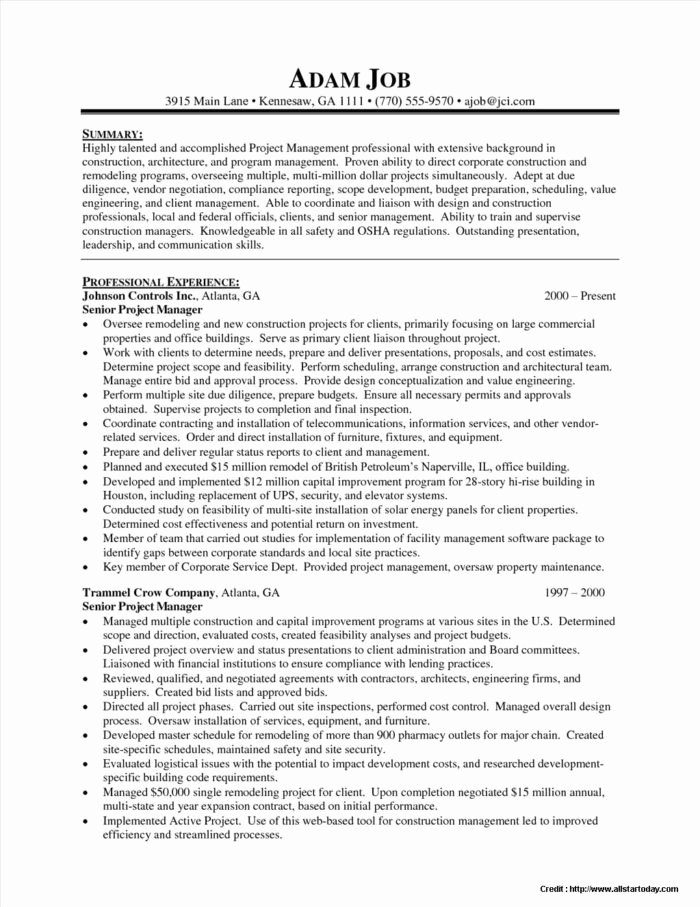Aviation Manager Resume Template Templates Resume