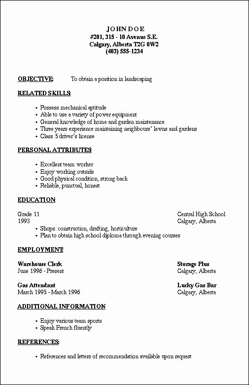 Basic Resume Outline Template