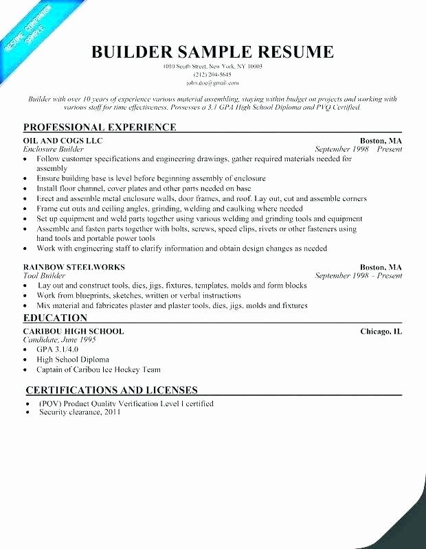 Beaufiful Free Professional Resume Builder Line S