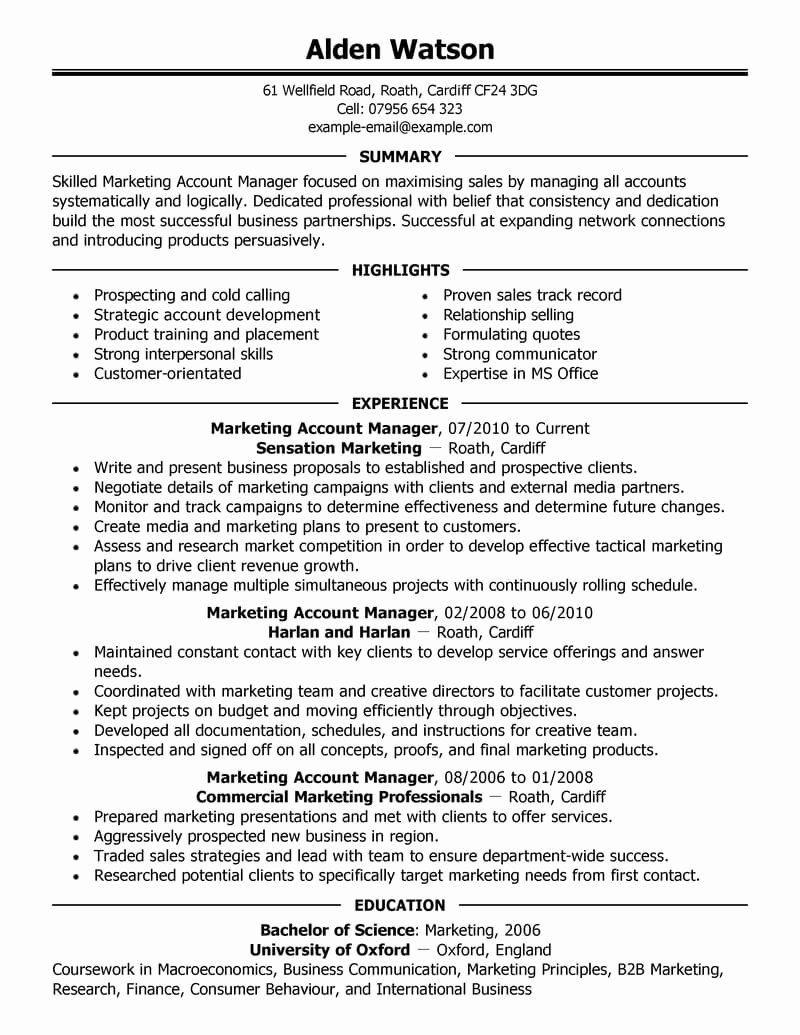 Best Account Manager Resume Example