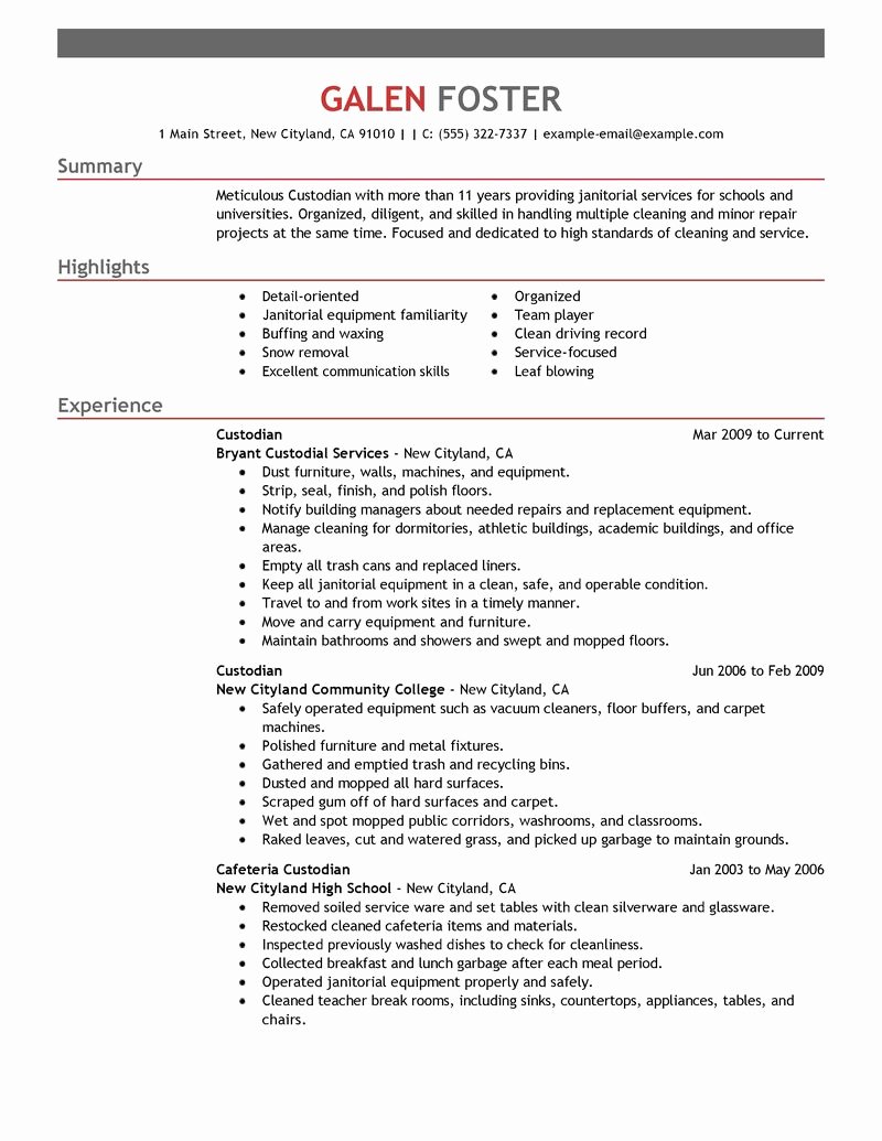Best Cleaning Professionals Resume Example