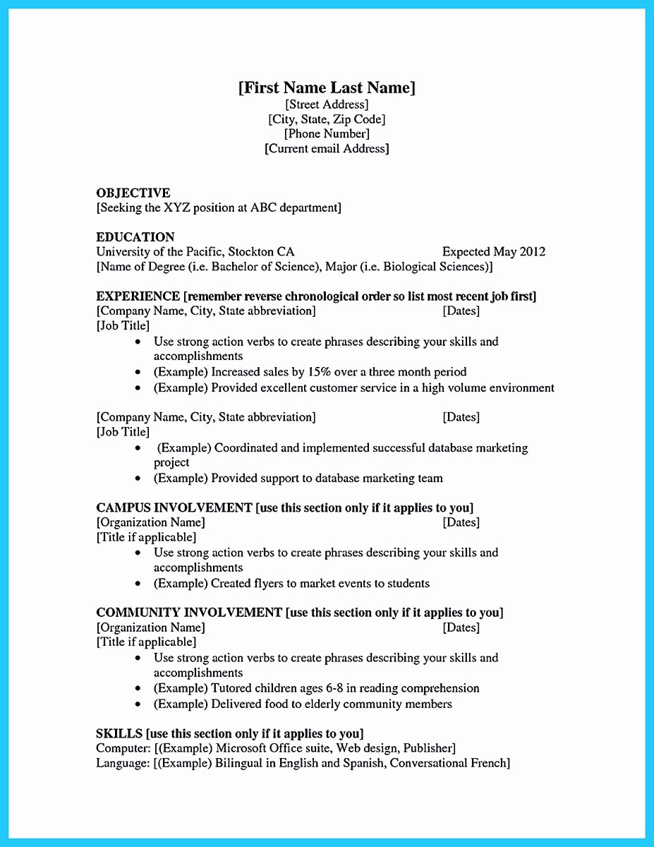 Best Current College Student Resume with No Experience