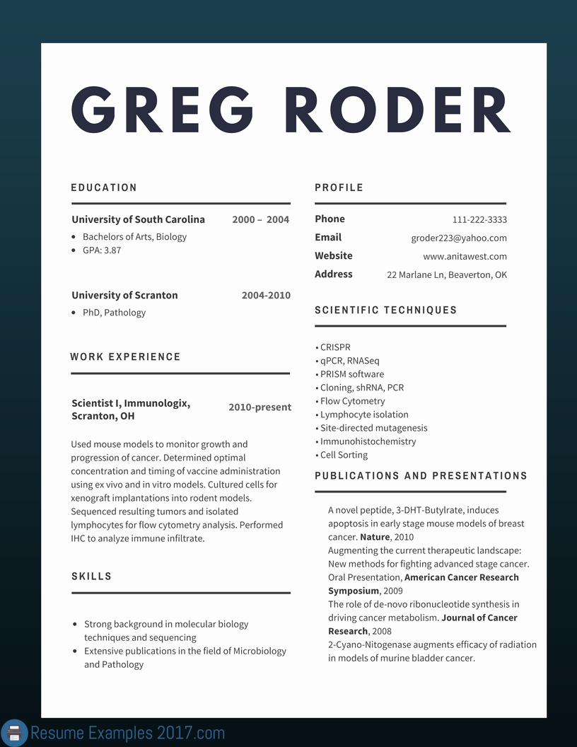 best cv examples 2017