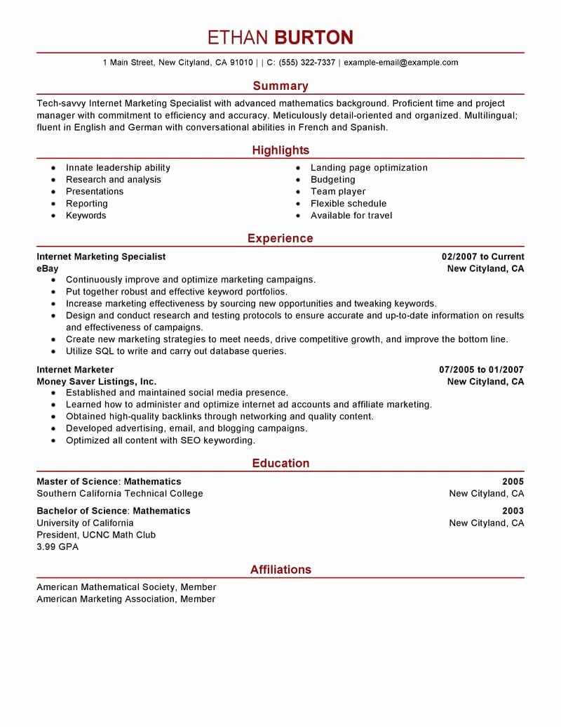 Best Line Marketer and social Media Resume Example