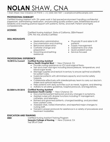 Best Nursing Aide and assistant Resume Example
