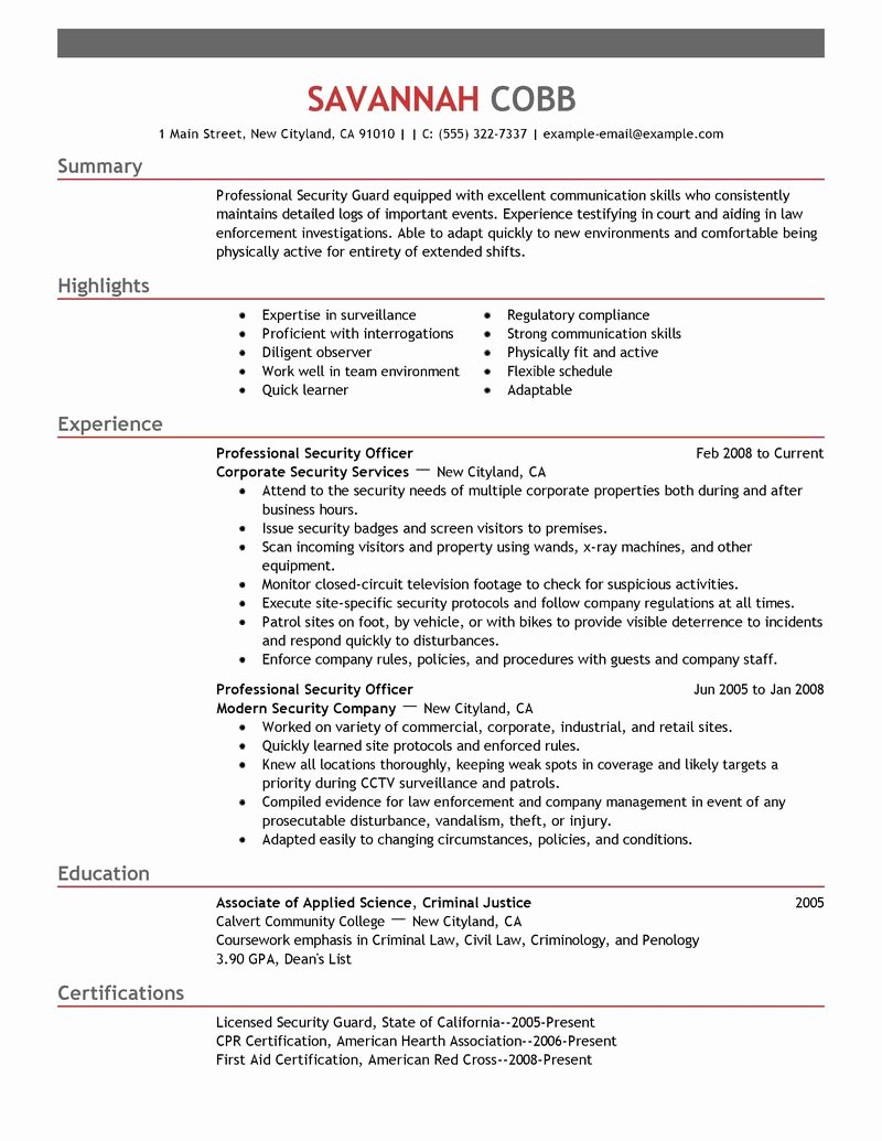 Best Professional Security Ficer Resume Example