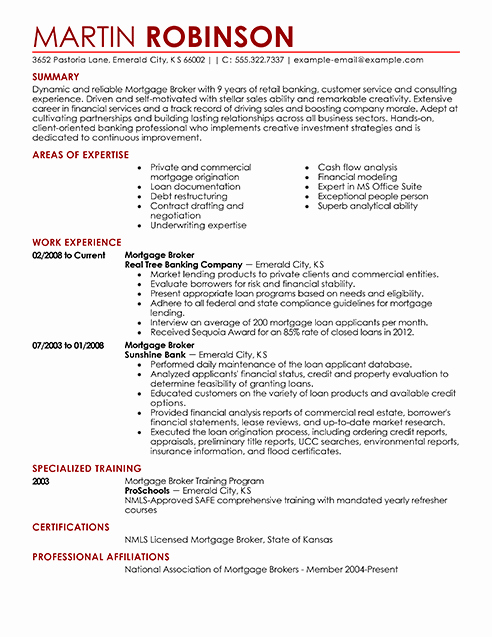 Best Real Estate Agent Resume Example