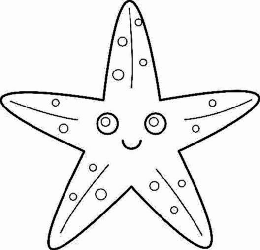 Best S Of Color Starfish Templates Printable