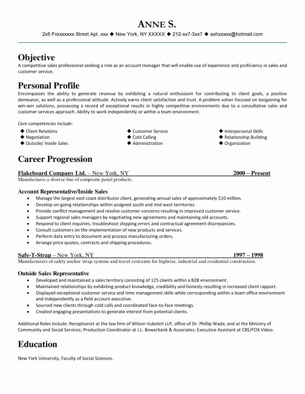 Best S Of Newest Professional Resume Examples