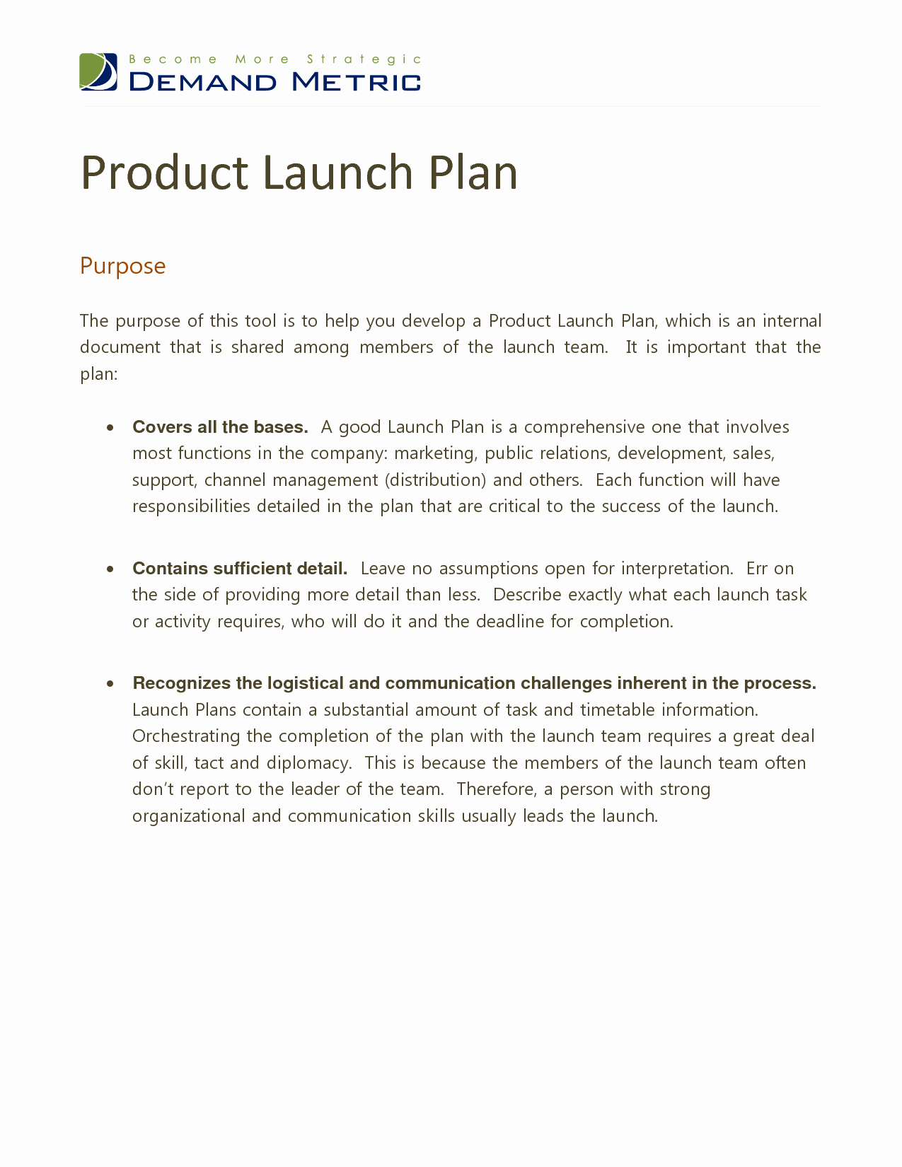 Best S Of Product Launch Plan Example Product