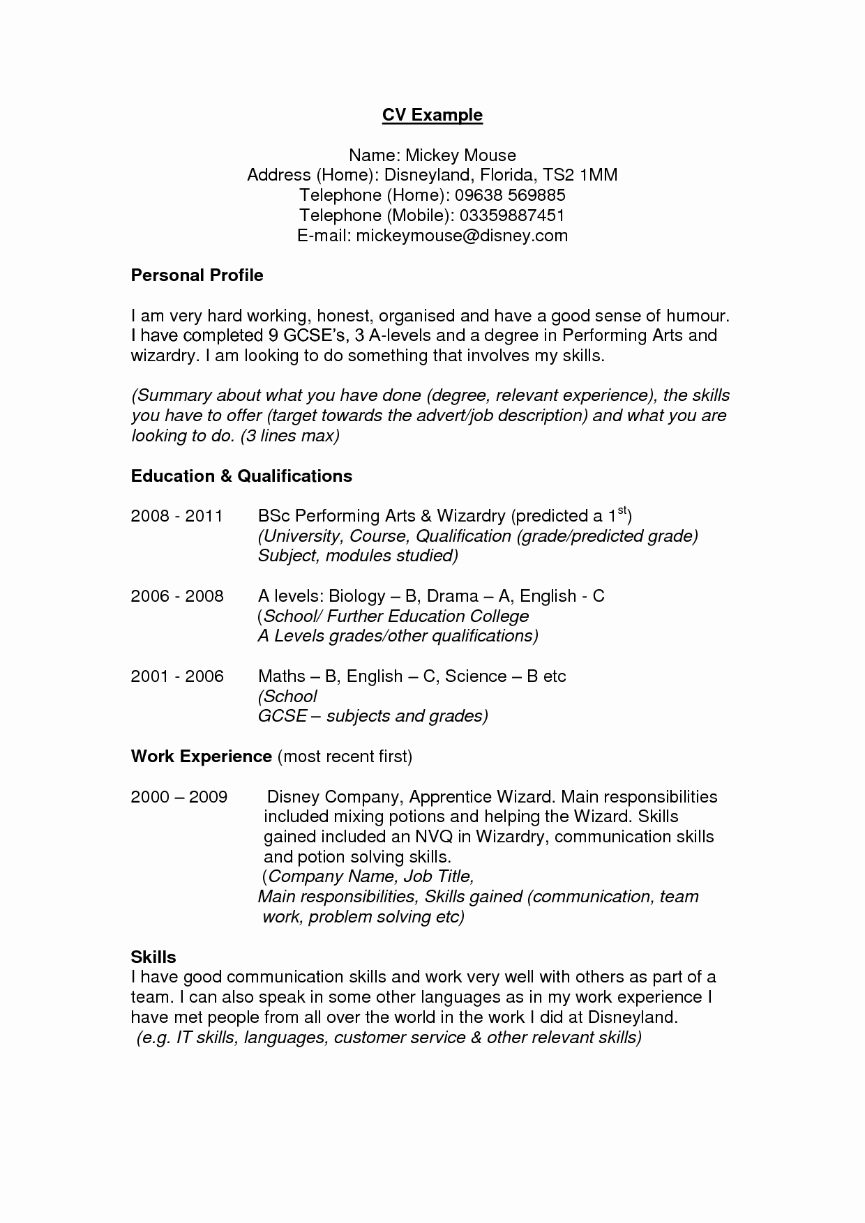 Best S Of Very Good Cv Examples Good Cv Example