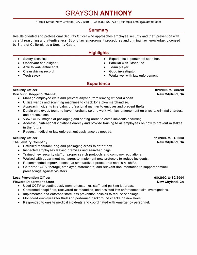 Best Security Ficers Resume Example