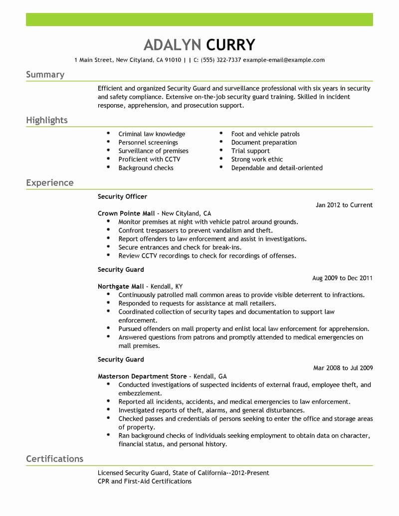 Best Security Guard Resume Example