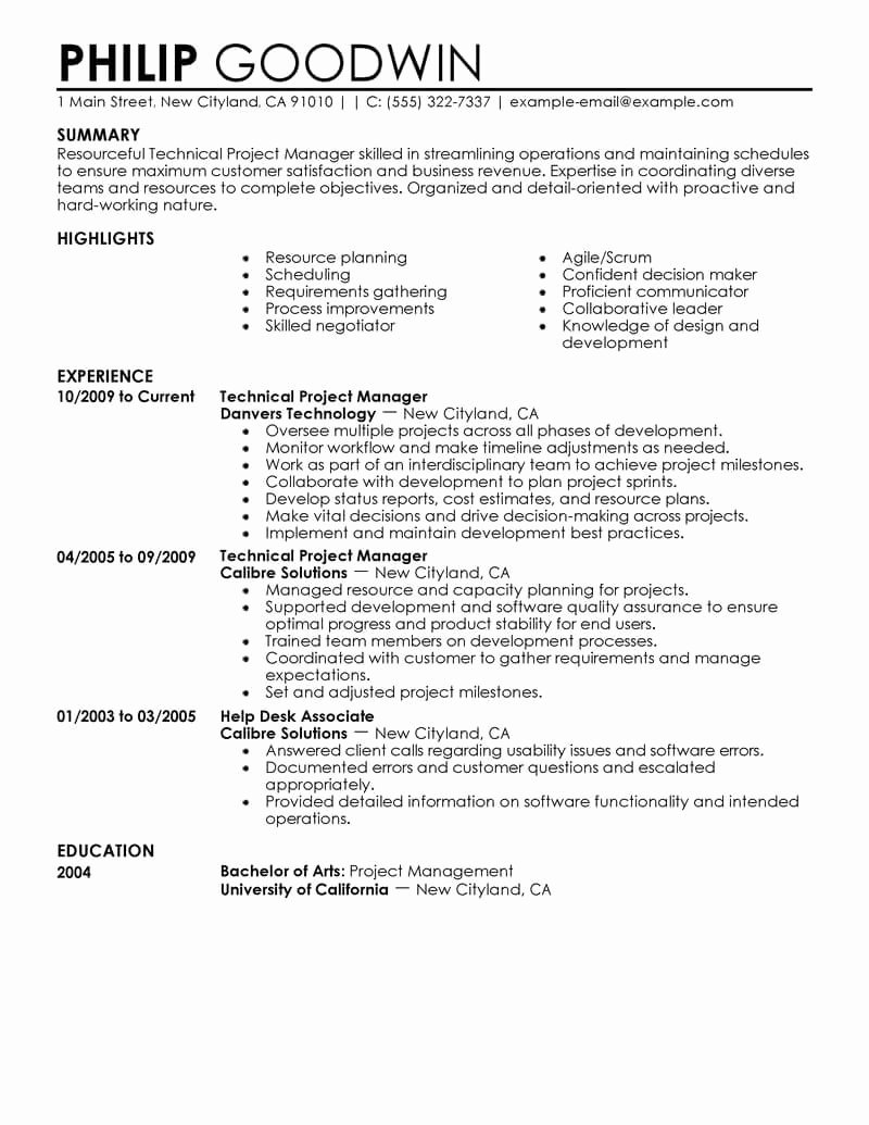 Best Technical Project Manager Resume Example