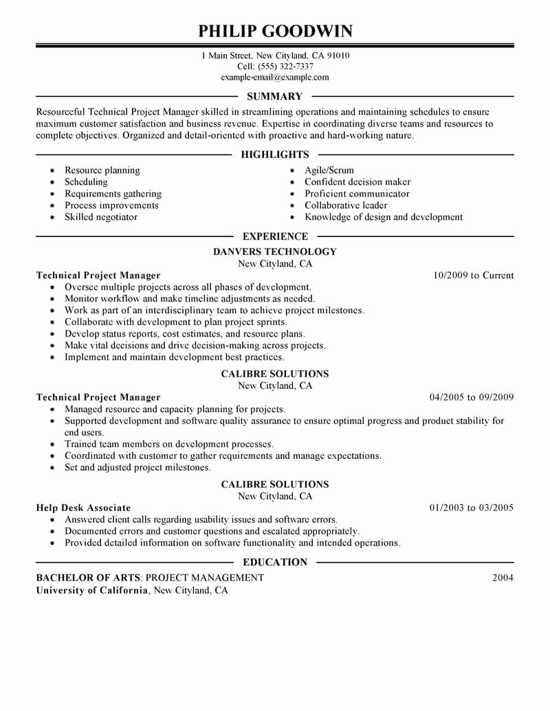 Best Technical Project Manager Resume Example