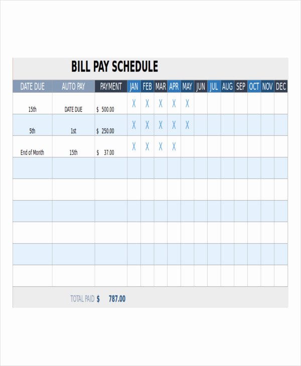 Bill Payment Schedule Template 12 Free Word Pdf format