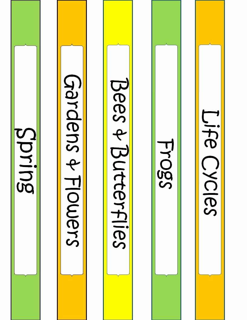 Printable Spine Labels Avery Binder Templates Spine 3 Inch