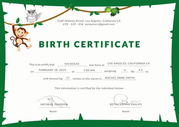 Birth Certificate Template 44 Free Word Pdf Psd