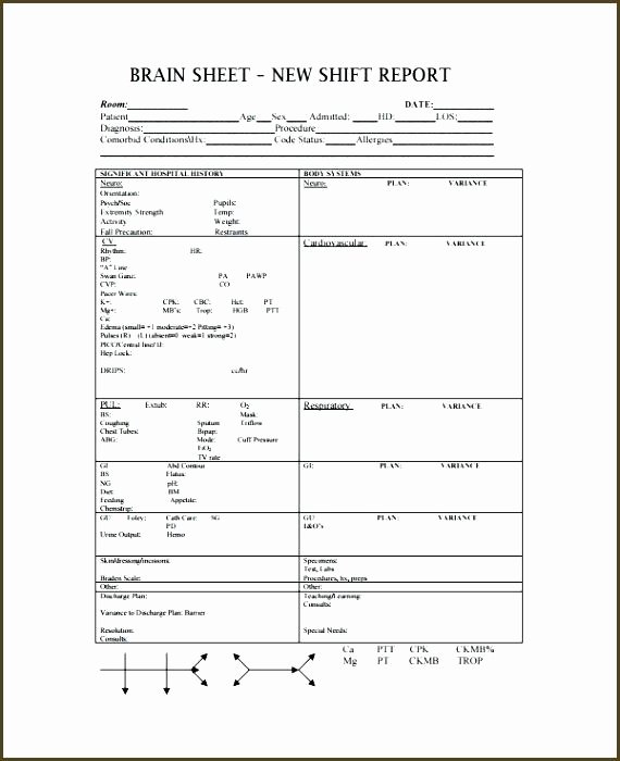 Blank Autopsy Report Template Blank Autopsy Report