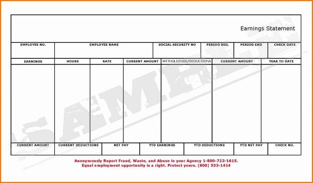 Blank Pay Stubs Template Example Mughals
