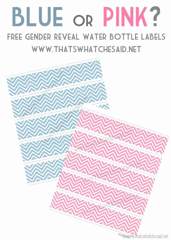 Blue or Pink Chevron Water Bottle Labels – Free Printable