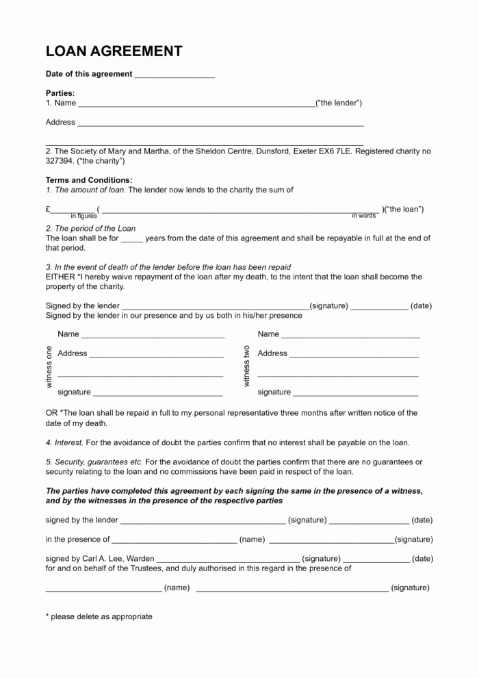 Borrow Money Contract Sample Templates Resume Examples