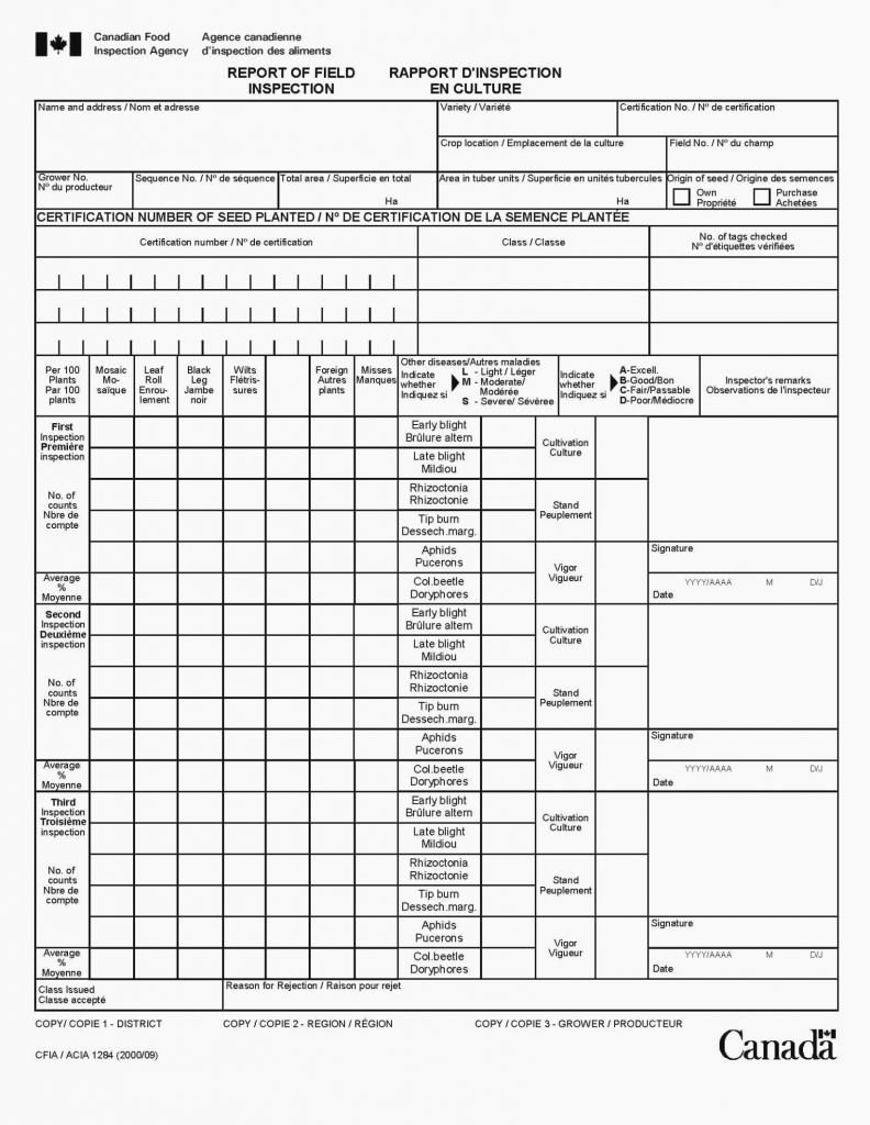 Building Inspection Report Sample and Template Free Nz
