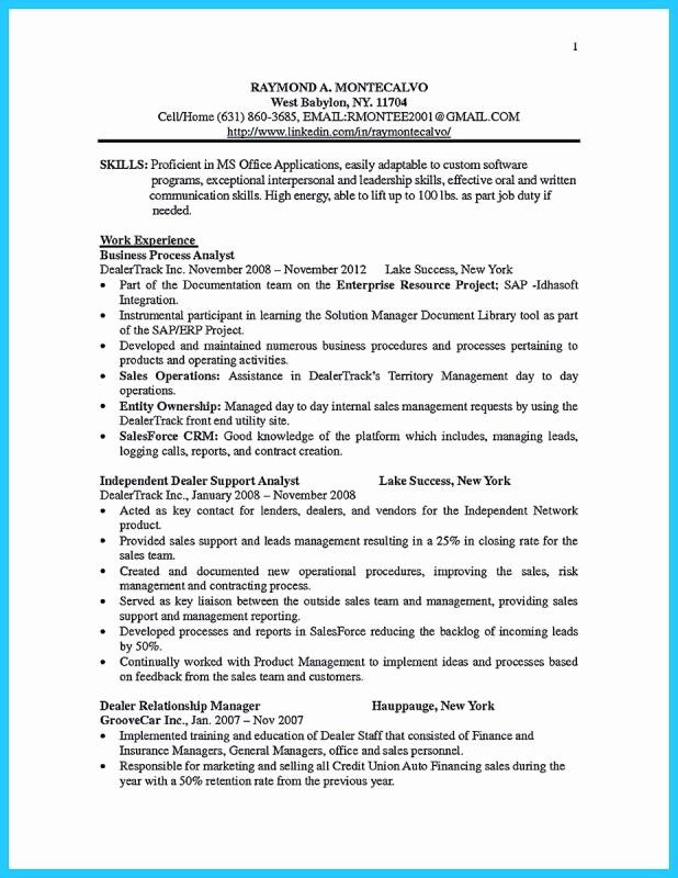Bullet Point Resume Template  Latter Example Template