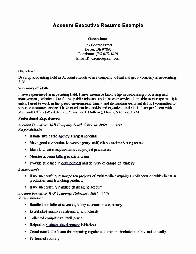 Business Account Executive Resume Free Samples