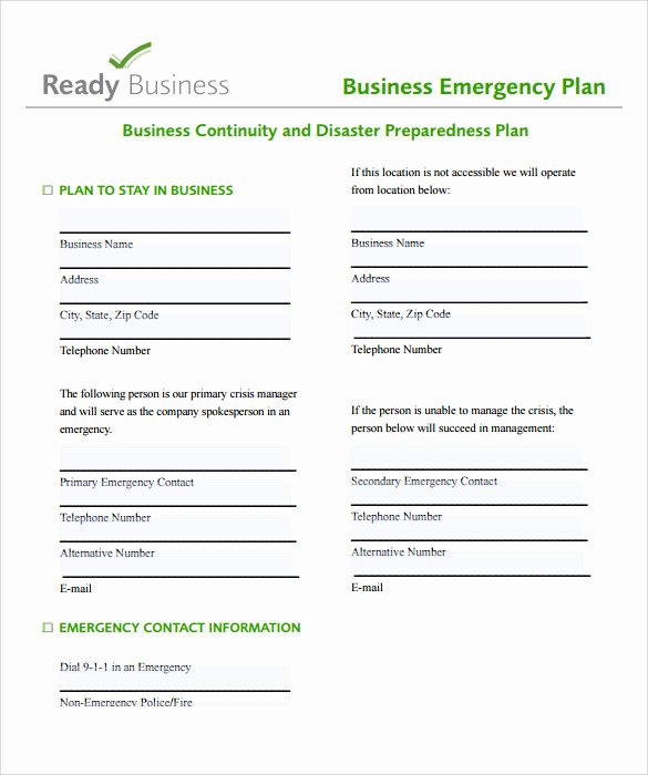 Business Action Plan Templates – 8 Samples Examples format