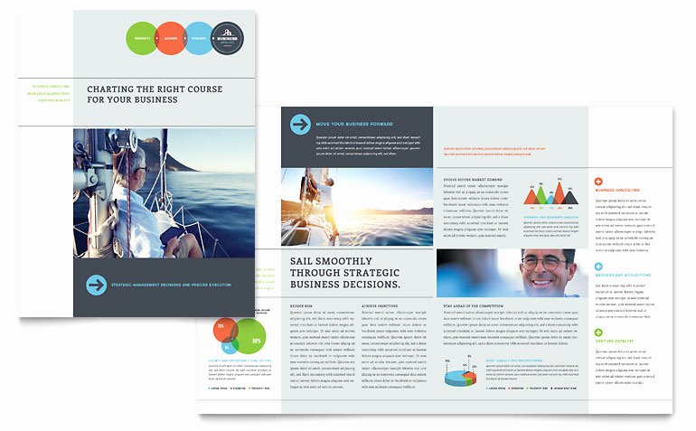 Business Analyst Brochure Template Word &amp; Publisher