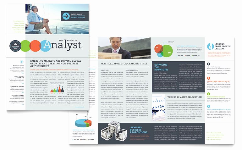 Business Analyst Newsletter Template Word &amp; Publisher