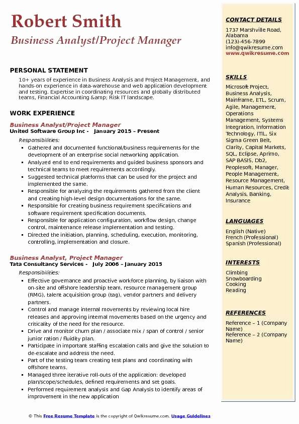 Business Analyst Project Manager Resume Samples