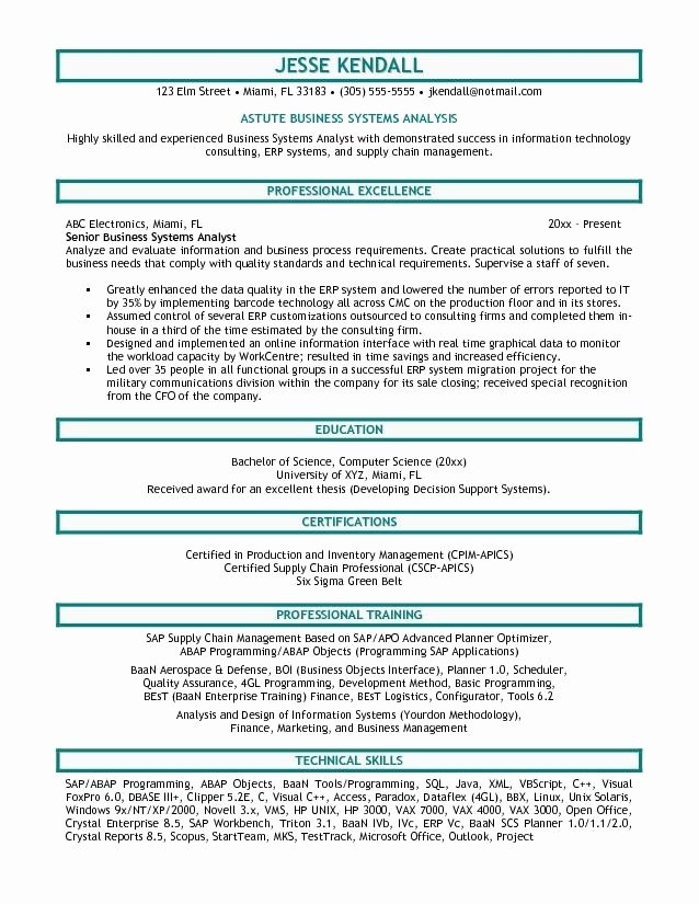 Business Analyst Resume Examples Template