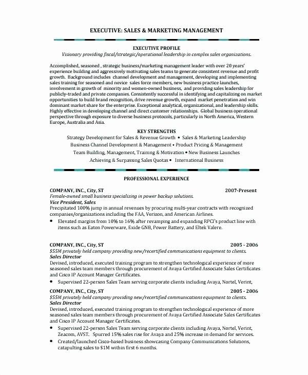 Business Owner Resume Example Sarahepps