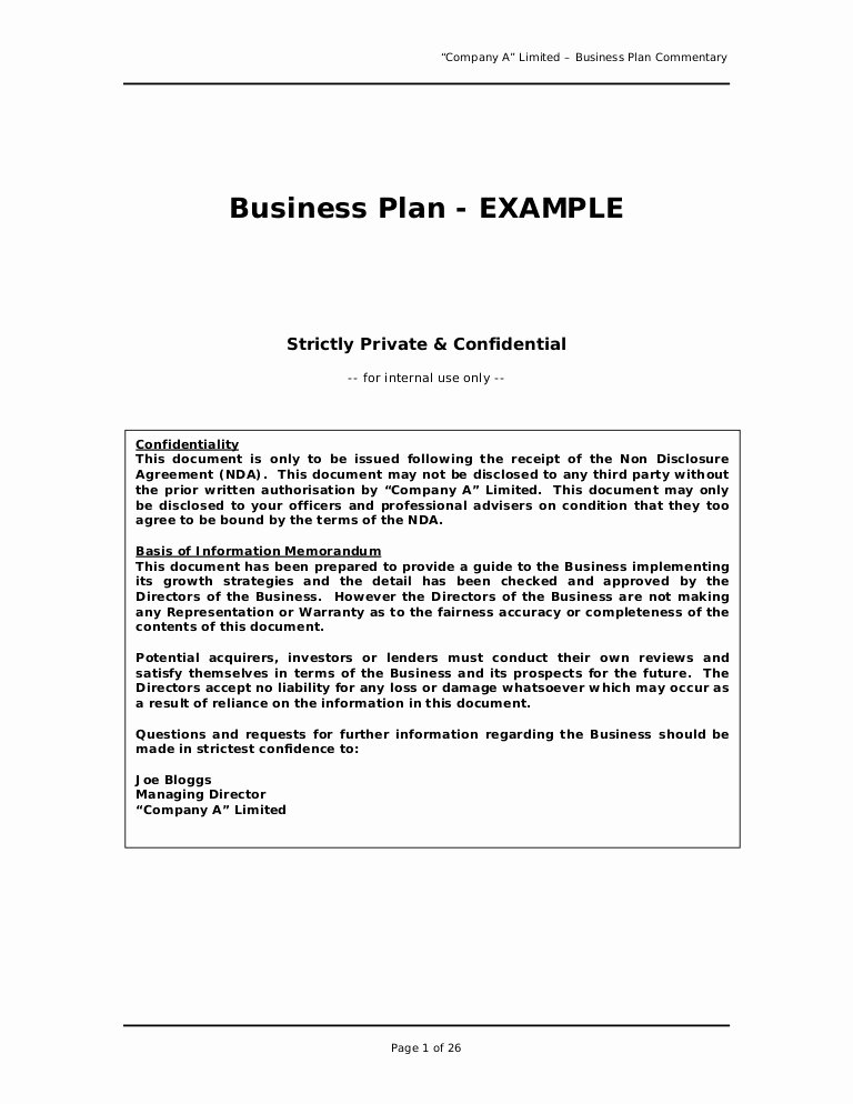 Business Plan Sample Great Example for Anyone Writing A
