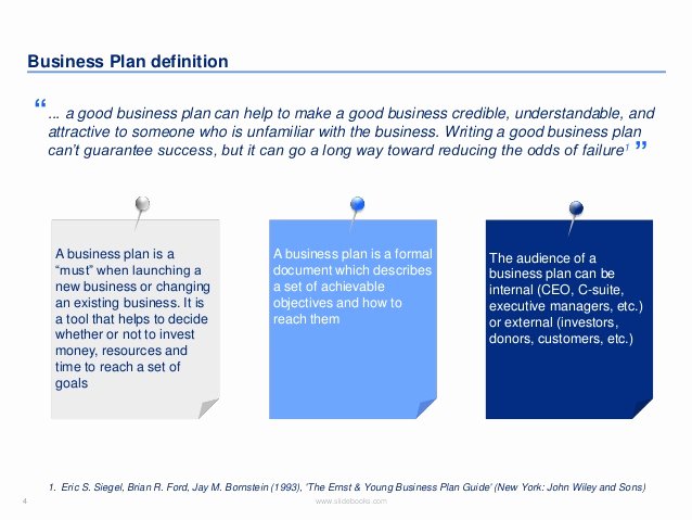Business Plan Template Created by former Deloitte
