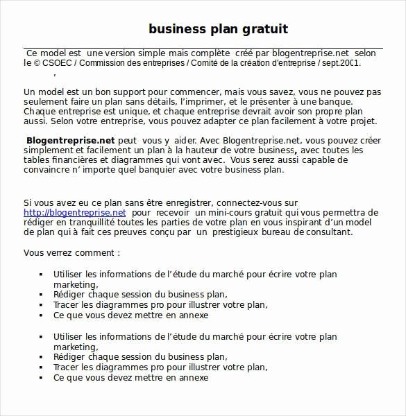 Business Plan Templates 43 Examples In Word