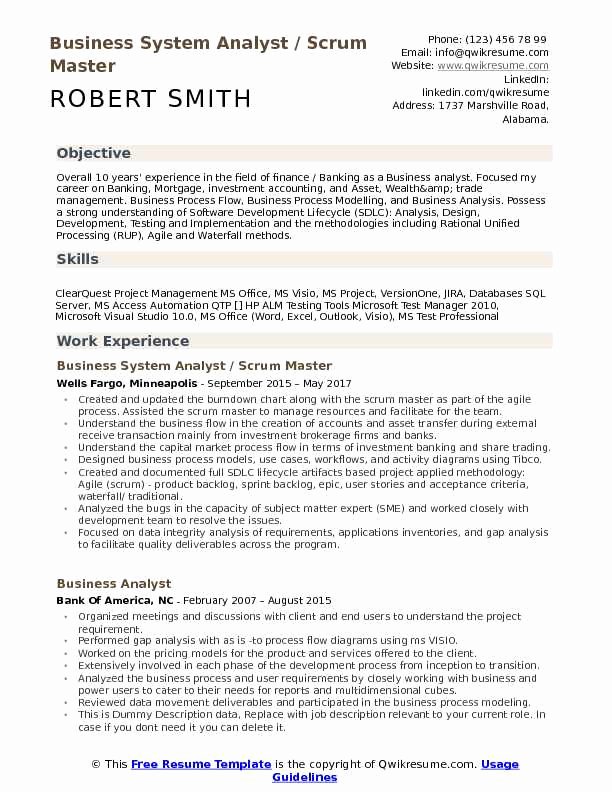 Business System Analyst Resume Samples